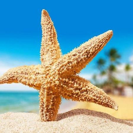 Sea Star Apartments 오데사 외부 사진