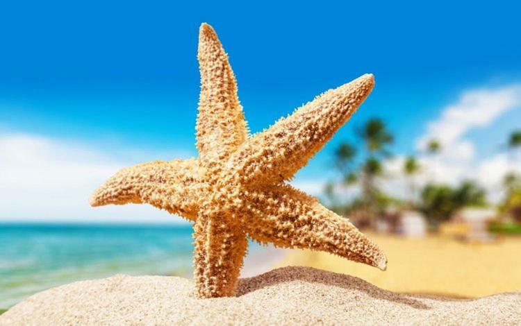 Sea Star Apartments 오데사 외부 사진